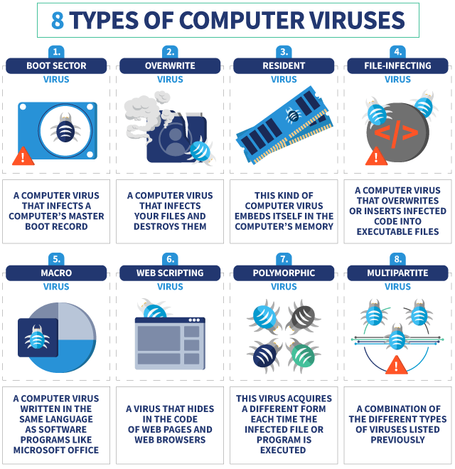 Types of Virus's